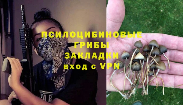 спайс Аркадак