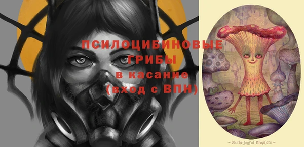 спайс Аркадак
