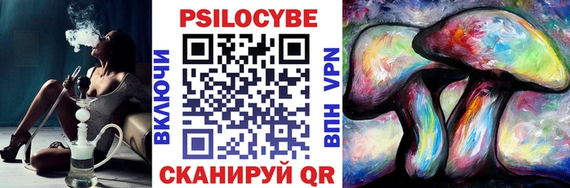 как найти   darknet наркотические препараты  Галлюциногенные грибы прущие грибы  Зея 